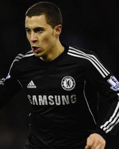 HAZARD EDEN 2013-14 (Che)