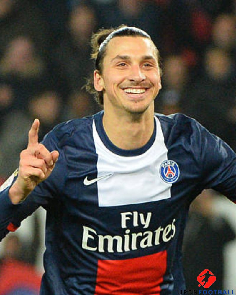 IBRAHIMOVIC ZLATAN 2013-14 (Psg)